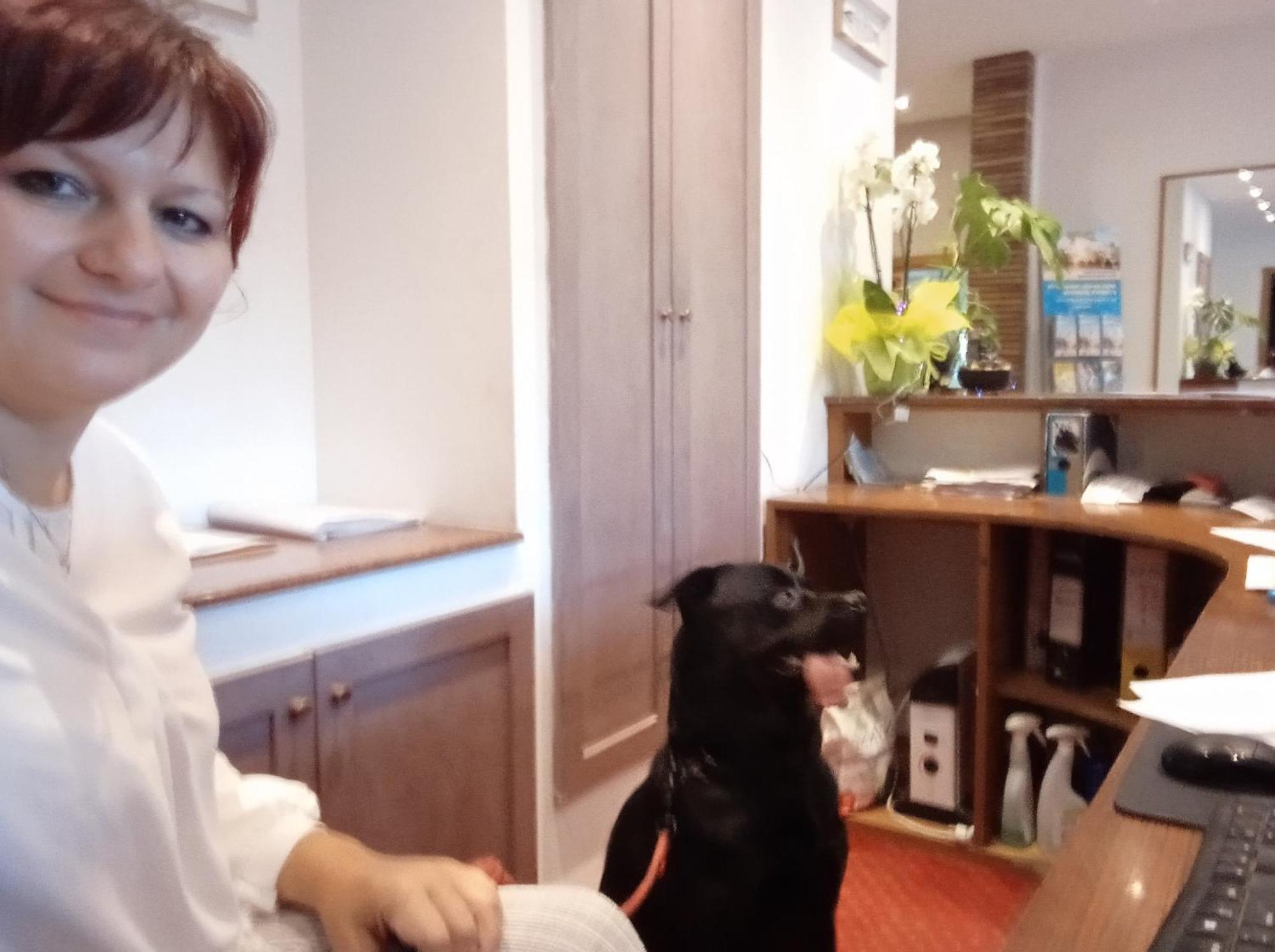 Hotel Buenos Aires 체르비아 외부 사진