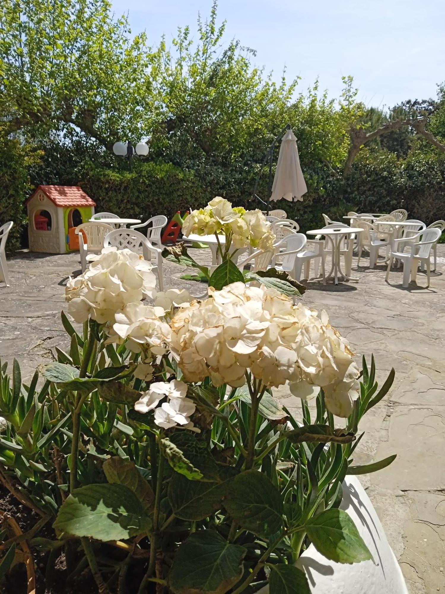 Hotel Buenos Aires 체르비아 외부 사진
